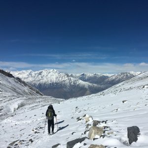himalayangorilla_Annapurna_circuit_trek (10)