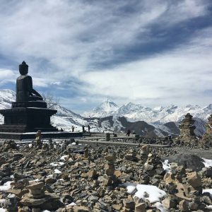 himalayangorilla_Annapurna_circuit_trek (14)
