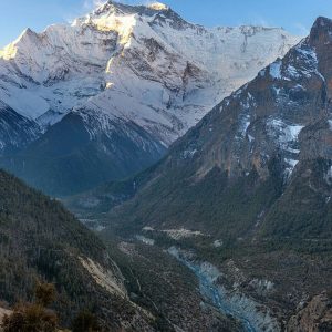 himalayangorilla_Annapurna_circuit_trek (17)
