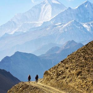 himalayangorilla_Annapurna_circuit_trek (6)