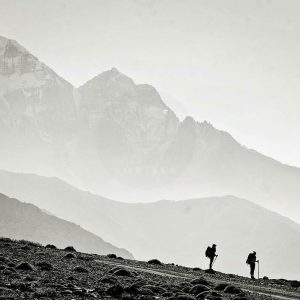 himalayangorilla_Annapurna_circuit_trek (7)