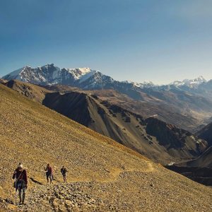 himalayangorilla_Annapurna_circuit_trek (8)