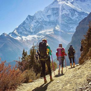 himalayangorilla_Annapurna_circuit_trek (9)