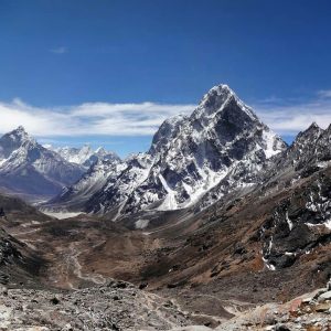 himalayangorilla_RenjolaA (1)