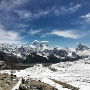 himalayangorilla_RenjolaA (10)