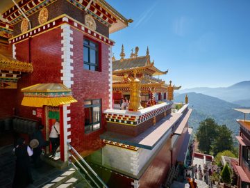 Leisure with Pleasure