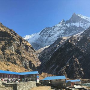 himalayangorilla_Annapurna_BAse_Camp_Trek (4)