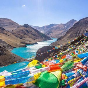 Himalayangorilla-namtso lake