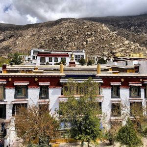 himalayangoirlla_drepung_monastery (1)