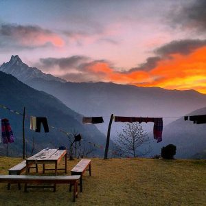 himalayangorilla_Annapurna_BAse_Camp_Trek (16)