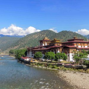himalayangorilla_Classic_Bhutan_Tour5