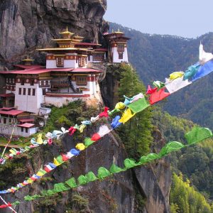 himalayangorilla_Land_of_the_Thunder_Dragon