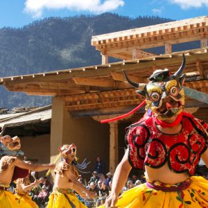 himalayangorilla_Land_of_the_Thunder_Dragon5