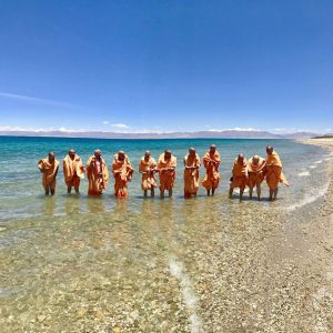 himalayangorilla_Manasarovar_lake (4)