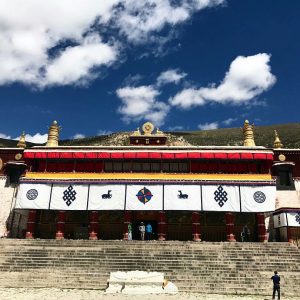 himalayangorilla_Potala_Palace_a (1)