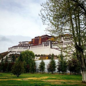 himalayangorilla_Potala_Palace_a (3)