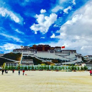 himalayangorilla_Potala_Palace_a (9)