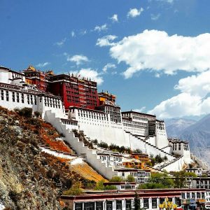 himalayangorilla_Potola_Palace_a (5)