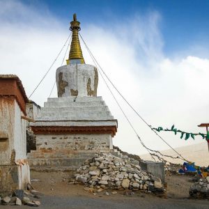himalayangorilla_Rongbuk_Monastery (5)
