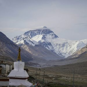 himalayangorilla_Rongbuk_Monastery (6)