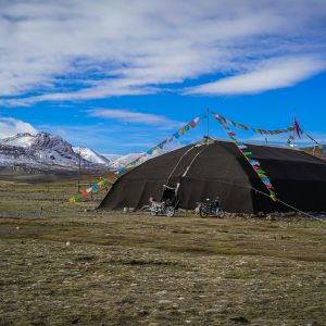 himalayangorilla_Rongbuk_Monastery (7)