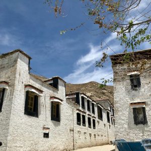 himalayangorilla_Sera_Monastery (2)