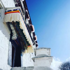 himalayangorilla_Sera_Monastery (6)