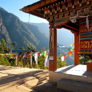 himalayangorilla_highlights_Bhutan3