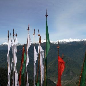 himalayangorilla_highlights_Bhutan4