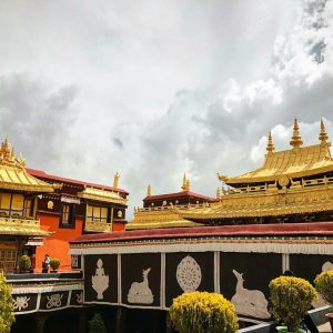 himalayangorilla_jokhangtemple (1)