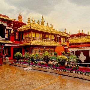 himalayangorilla_jokhangtemple (4)