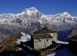 Leisure with Pleasure