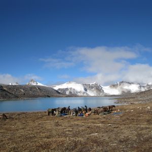 himalayangorilla_lunana_snowman_trek_bhutan (2)