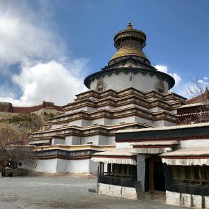 himalayangorilla_tibet_tour (2)