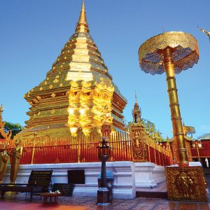 Chiang_Mai_himalayangorilla