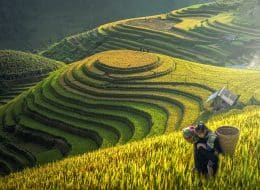 Leisure with Pleasure