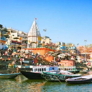 himalayangorilla_buddhist_pilgrimage_tour_india1