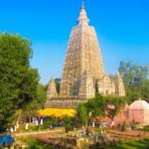 himalayangorilla_buddhist_pilgrimage_tour_india4