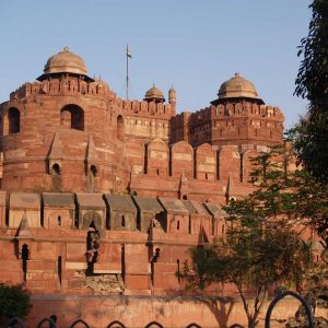 himalayangorilla_buddhist_pilgrimage_tour_india5