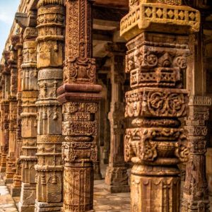 himalayangorilla_buddhist_pilgrimage_tour_india6