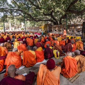 himalayangorilla_buddhist_pilgrimage_tour_india8