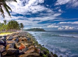 Leisure with Pleasure