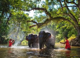 Leisure with Pleasure