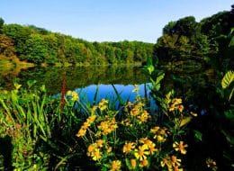 Leisure with Pleasure