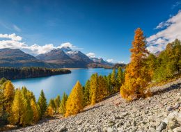 Leisure with Pleasure