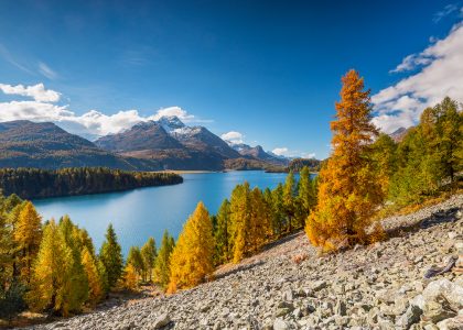 Leisure with Pleasure