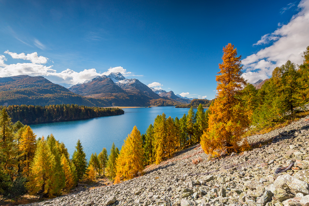 Swiss Grand Alpine Tour from Zurich - Travel Pinto | Worldclass Travel