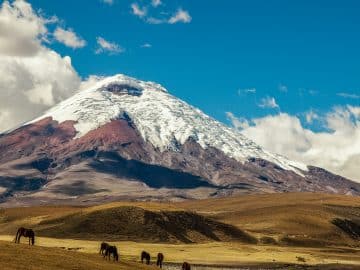 Leisure with Pleasure