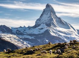 Leisure with Pleasure