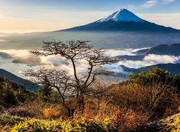 Leisure with Pleasure